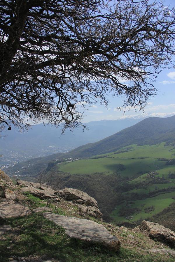Yenokavan Glamping Idzsevan Kültér fotó